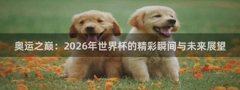 世界杯足球2026:奥运之巅:2026年世界杯的精彩瞬间与未来展望