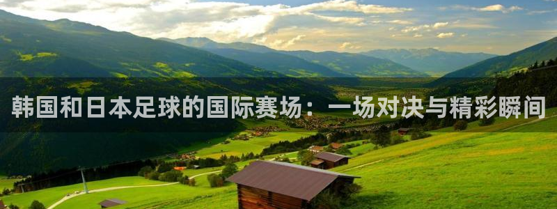 西超杯直播:韩国和日本足球的国际赛场:一场对决与精彩瞬间