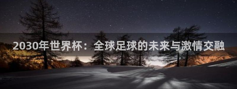 世界杯足球赛2026:2030年世界杯:全球足球的未来与激情交融