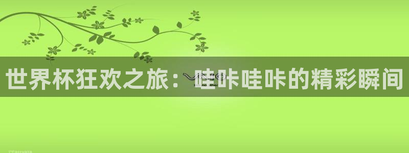 世界杯赛程2026:世界杯狂欢之旅:哇咔哇咔的精彩瞬间