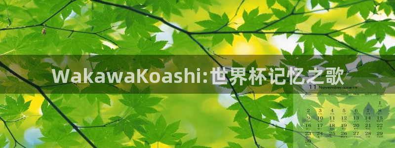 世界杯小组赛赛程:WakawaKoashi:世界杯记忆之歌