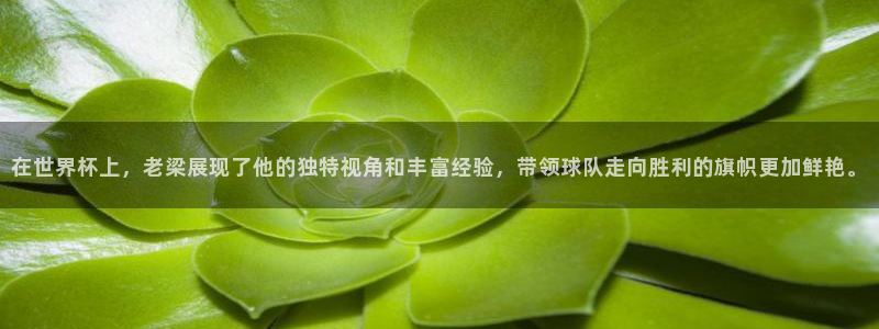 今天所有足球赛程表:在世界杯上,老梁展现了他的独特视角和丰富经验,带领球队走向胜利的旗帜更加鲜艳。