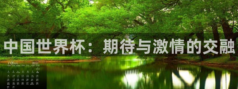 2026足球世界杯赛程时间表:中国世界杯:期待与激情的交融
